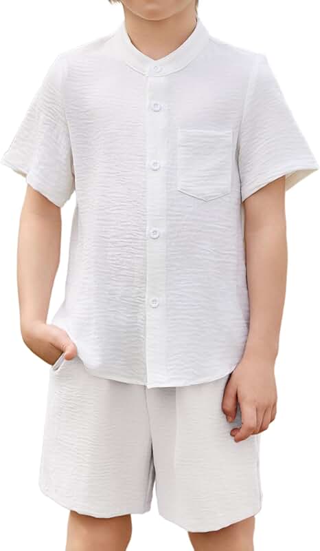 Toddler Boys Short Sleeve Shirt and Shorts Set