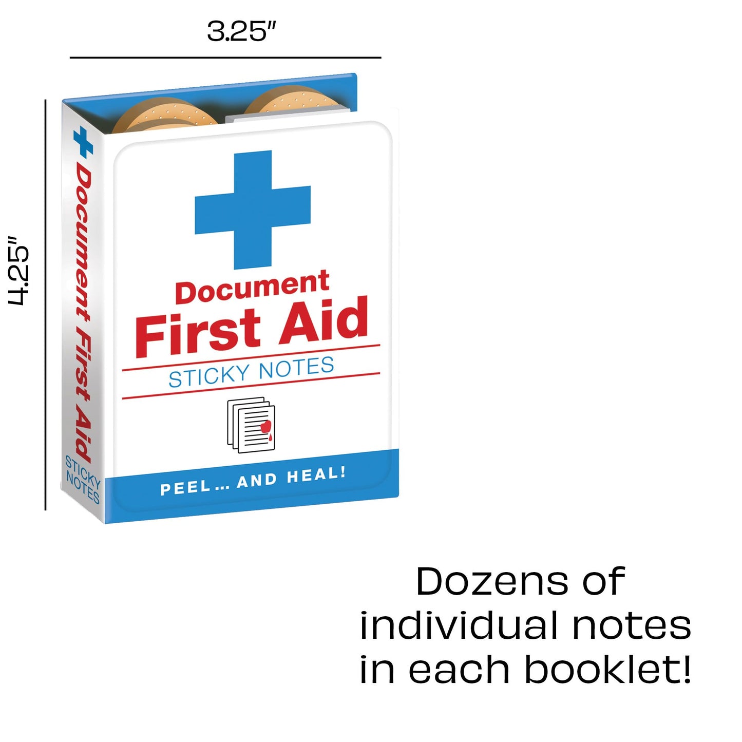 Medical Care Themed First Aid Notes Booklet