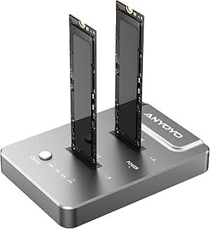 Dual-Bay M.2 Cloner and Docking Station