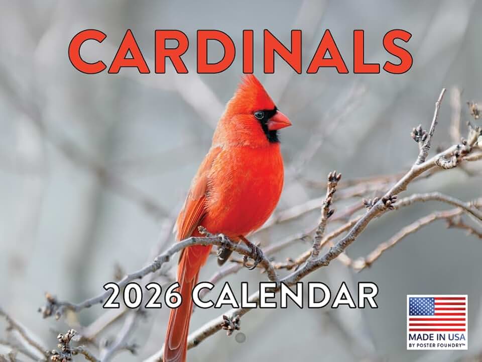 2026 Monthly Wall Calendar