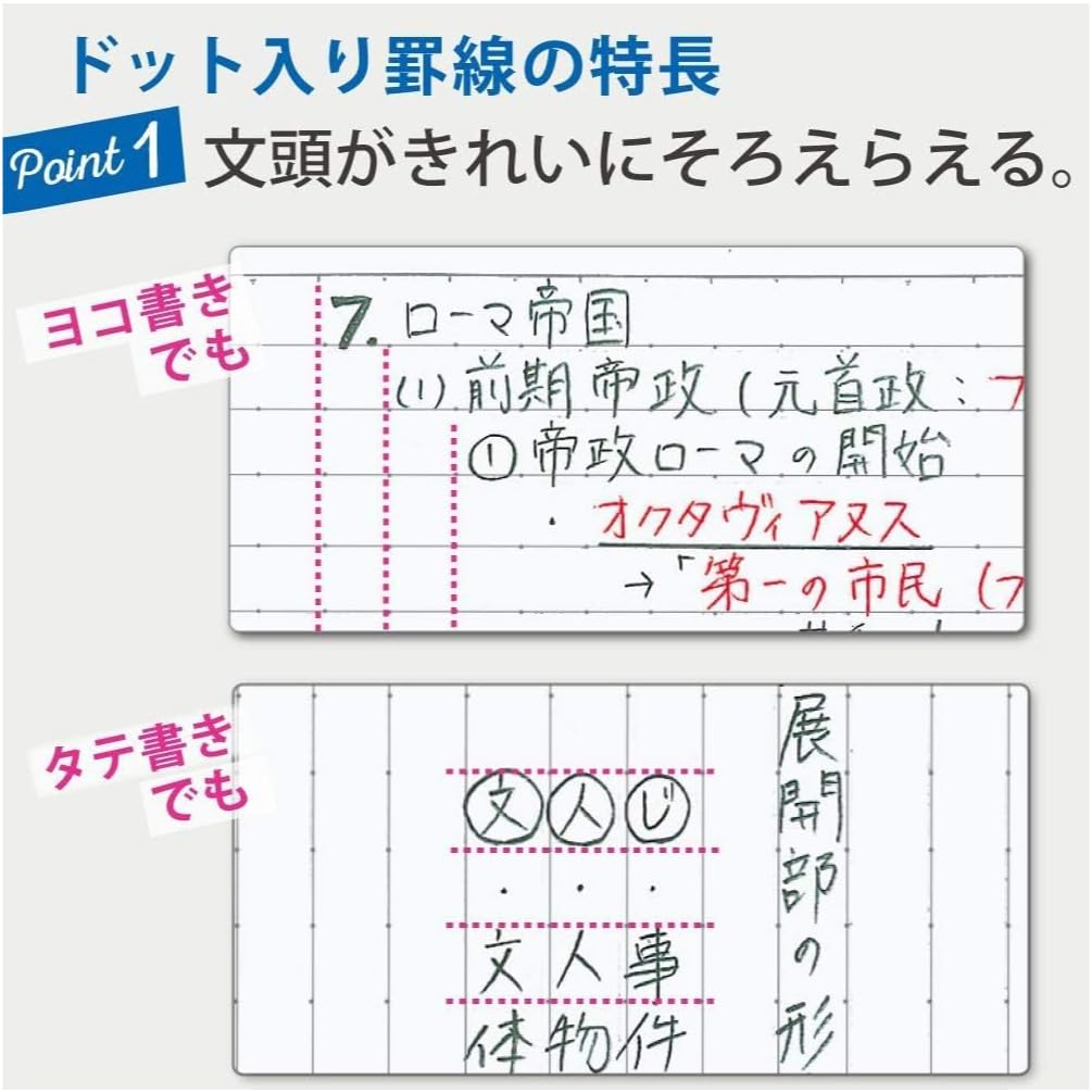 Set of 5 Dot Ruled Notebooks, 30 Sheets Each