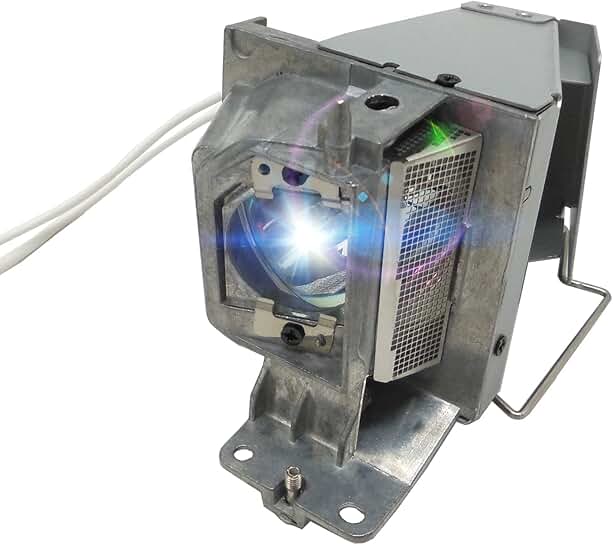 High-Quality 725-BBCV Projector Lamp with Housing
