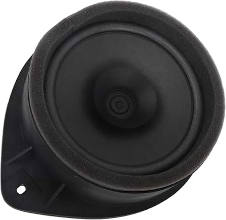 Rear Side Door Speaker in Black