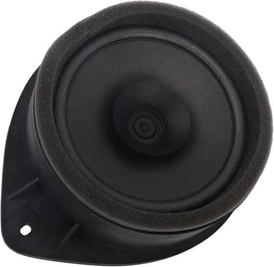 Rear Side Door Speaker in Black