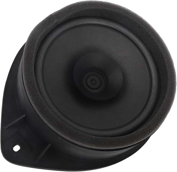 Rear Side Door Speaker in Black