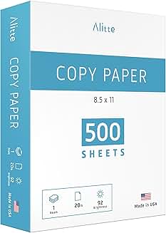 White 8.5 x 11 Letter Size Copy Paper, 92 Bright, 1 Pack