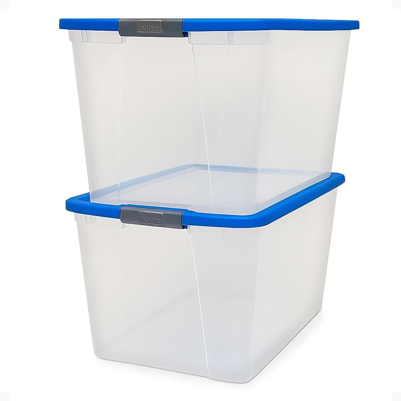 2-Pack Clear Plastic Storage Bins with Latches