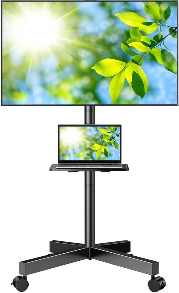 Mobile TV Stand for 23-60 Inch LCD and LED Screens