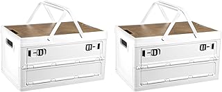 Collapsible Storage Bins with Lids and Handles, 2 Pack