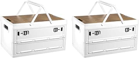 Collapsible Storage Bins with Lids and Handles, 2 Pack
