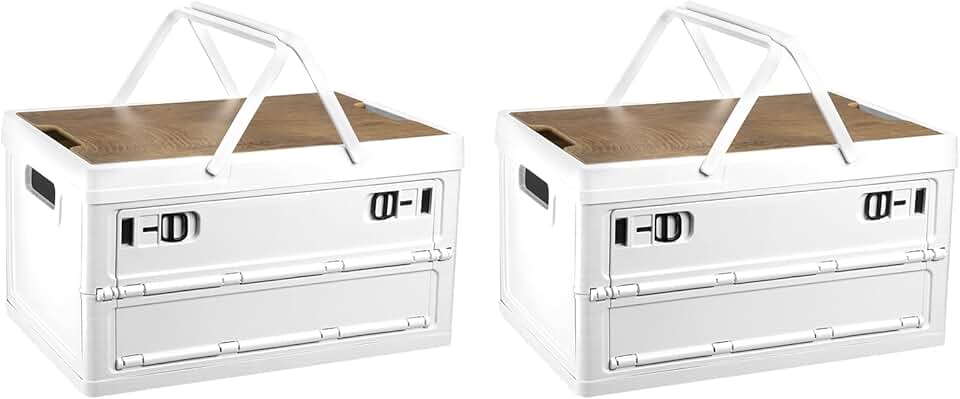 Collapsible Storage Bins with Lids and Handles, 2 Pack