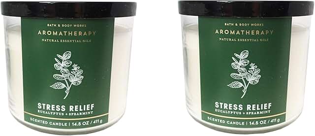 Eucalyptus Spearmint 3-Wick Candle Set