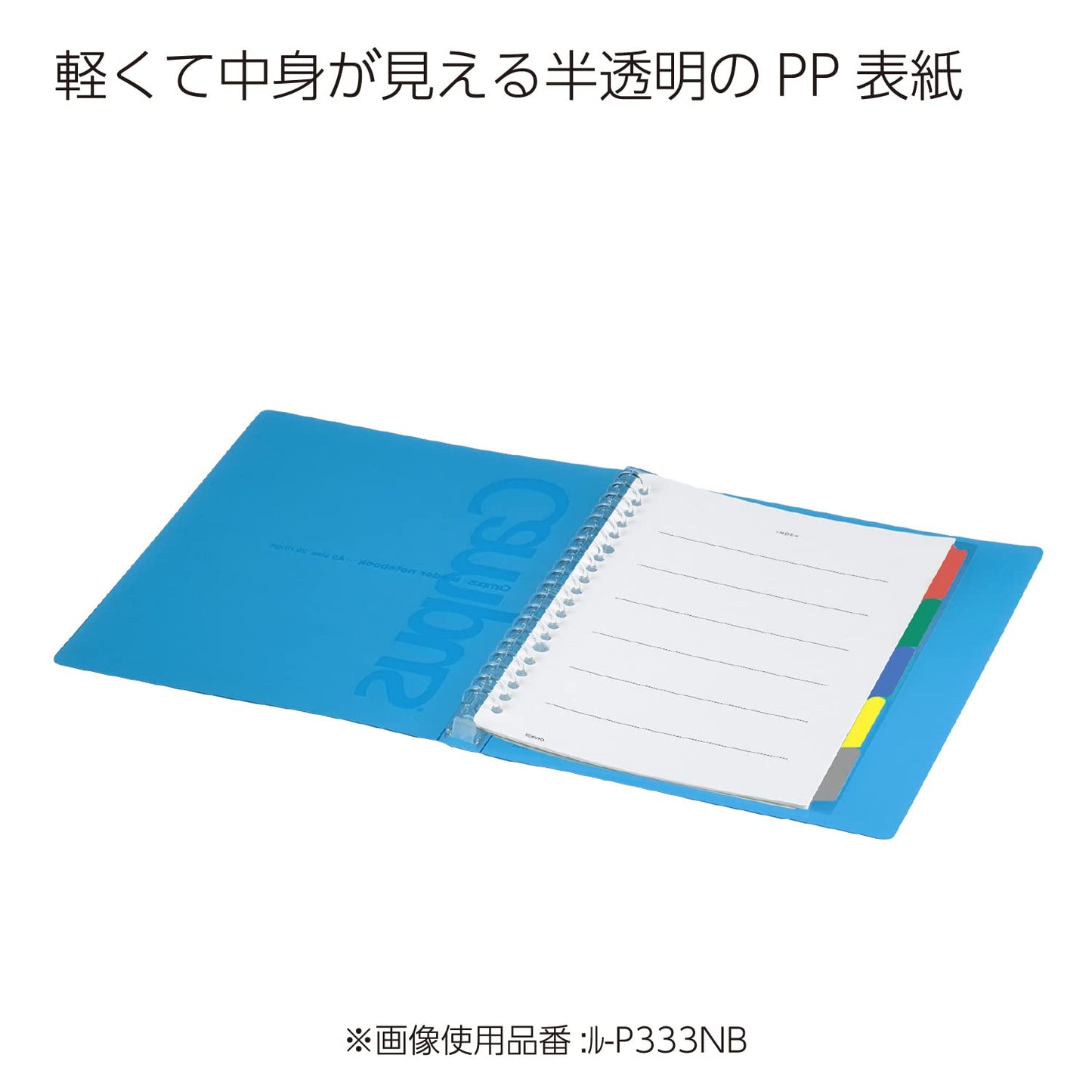 Slide binder with 5 tab dividers, B5, green