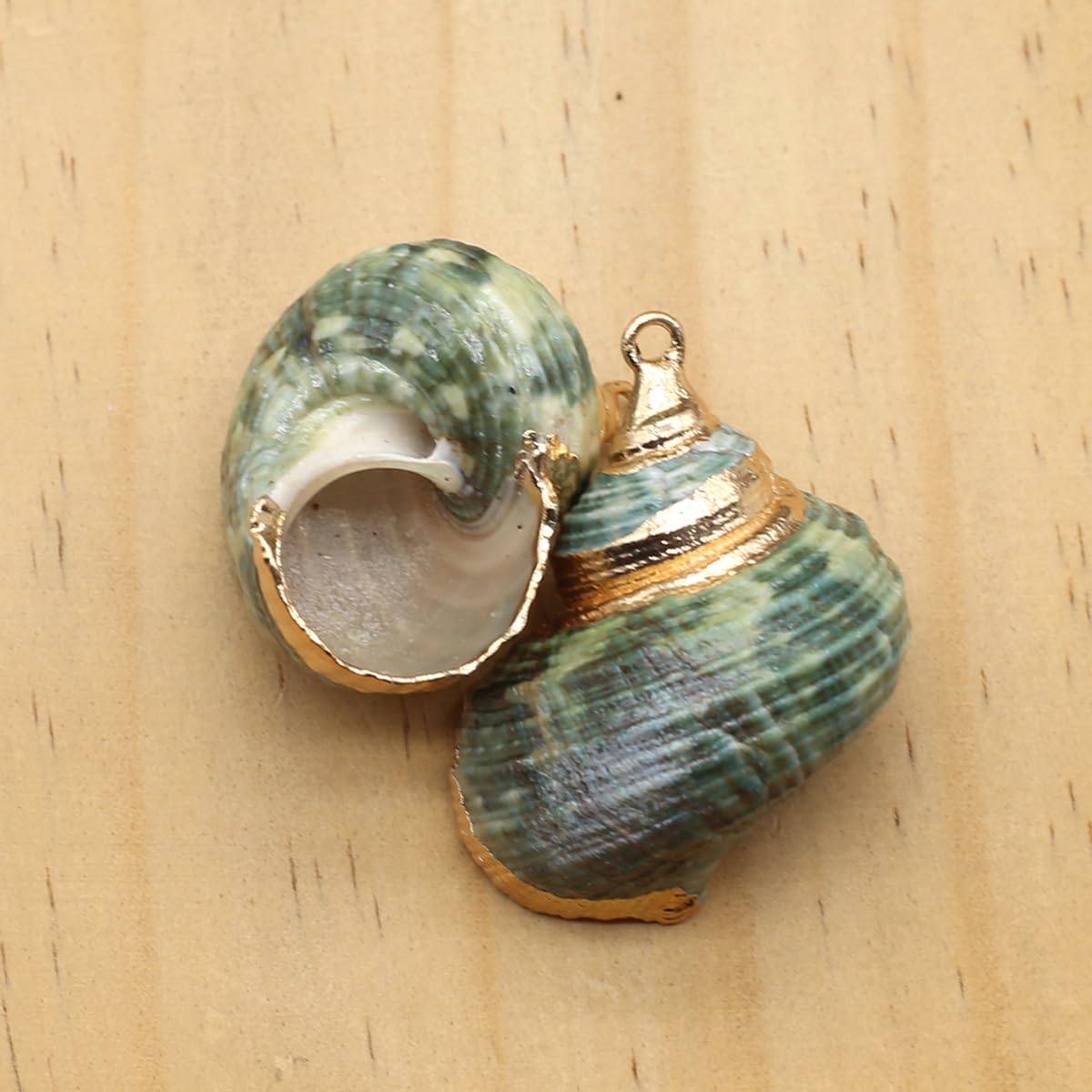 Natural Shell Pendants for Jewelry and Decor