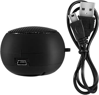 Mini Portable Speaker with 3.5mm Aux Jack