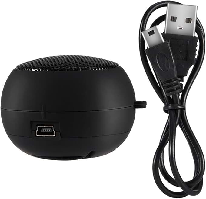 Mini Portable Speaker with 3.5mm Aux Jack