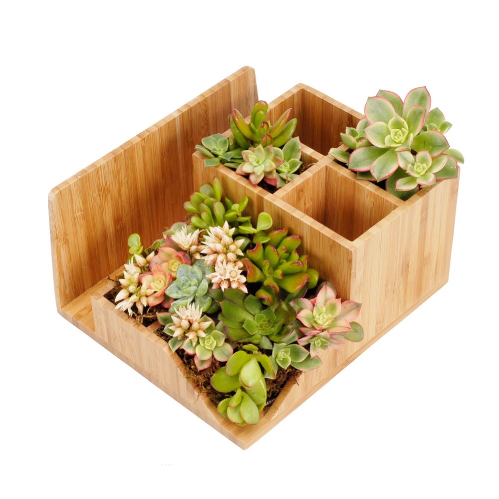 Bamboo Desktop Organizer for Stationery Items