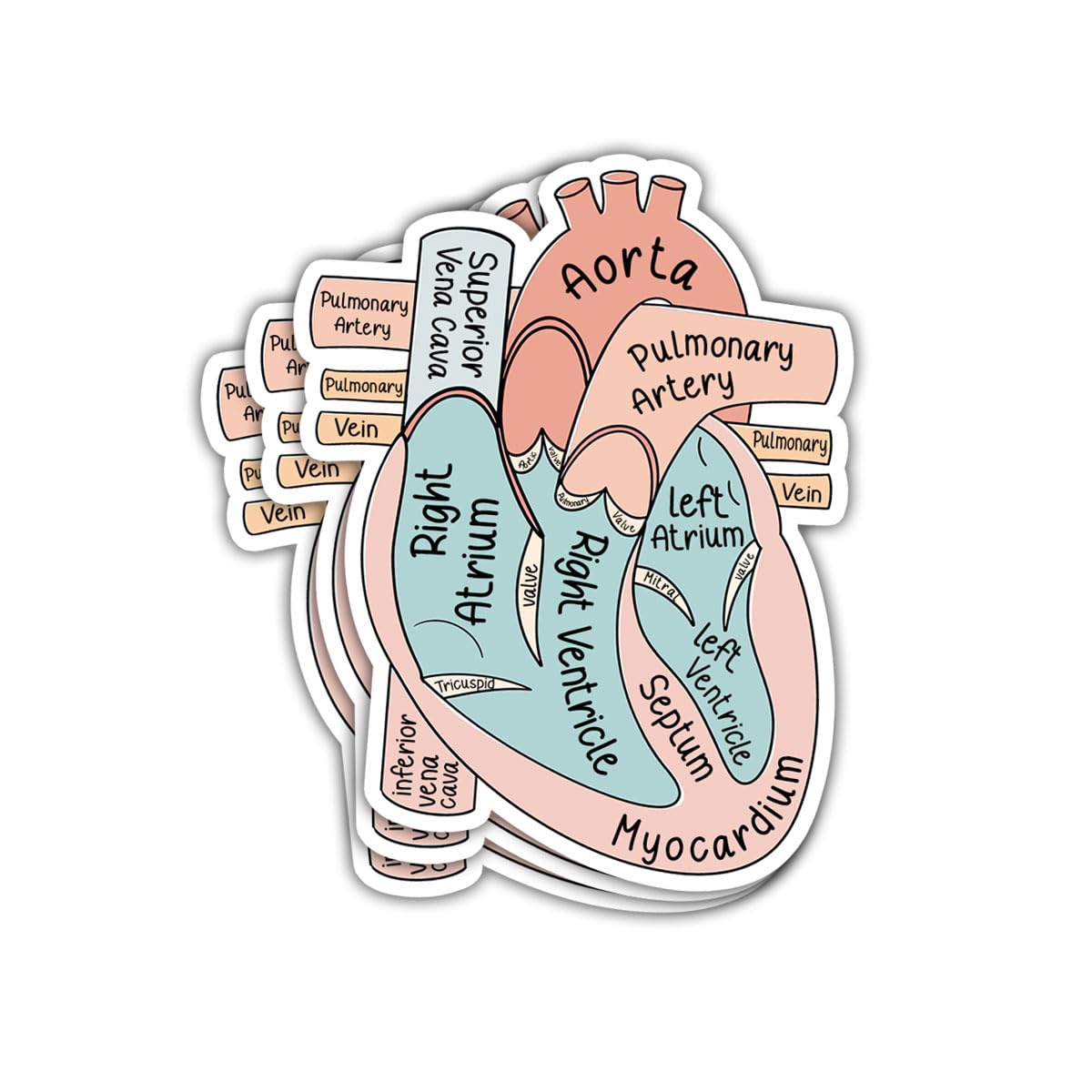 Set of 3 Anatomical Heart Holographic Stickers