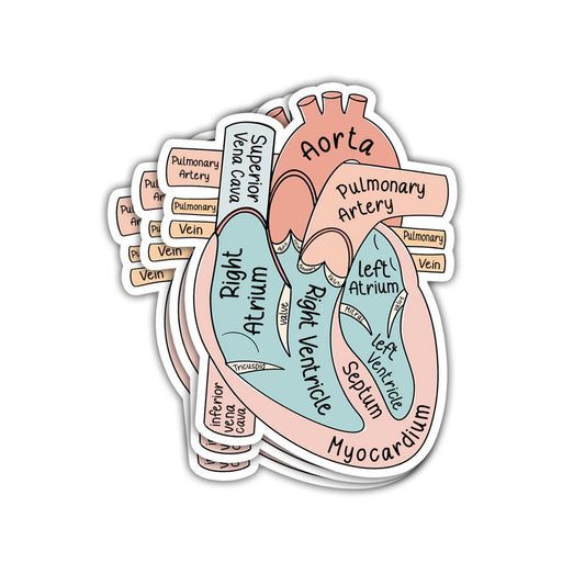 Set of 3 Anatomical Heart Holographic Stickers
