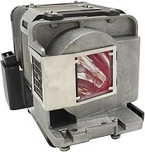 Replacement Projector Lamp with Housing Module