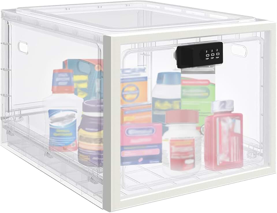 Large Lock Box for Medication and Food Storage