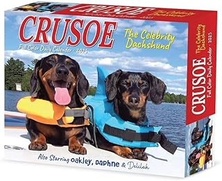 Crusoe the Dachshund 2025 Box Calendar