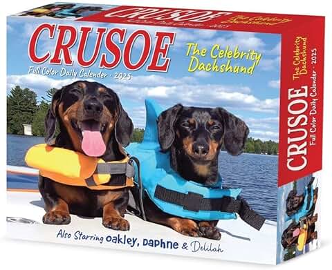 Crusoe the Dachshund 2025 Box Calendar