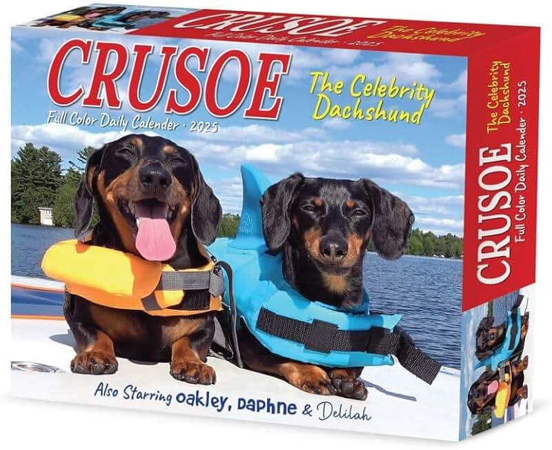 Crusoe the Dachshund 2025 Box Calendar