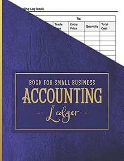 Daily Accounting Ledger Book for Small Business