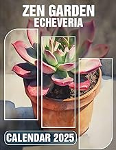 Echeveria Zen Garden for Peaceful Planning