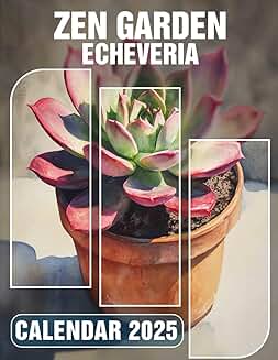 Echeveria Zen Garden for Peaceful Planning