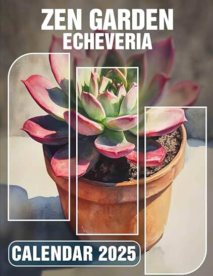 Echeveria Zen Garden for Peaceful Planning