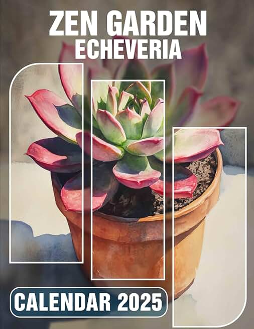 Echeveria Zen Garden for Peaceful Planning