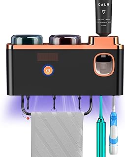 Wall-Mounted Toothbrush Holder with Dispenser and Storage