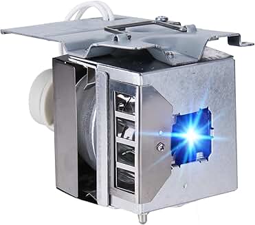 Replacement Lamp with Housing for Benq Projectors