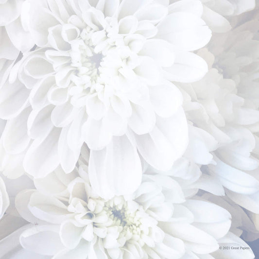 White soft petal letterhead stationery, 8.5" x 11", 80 sheets