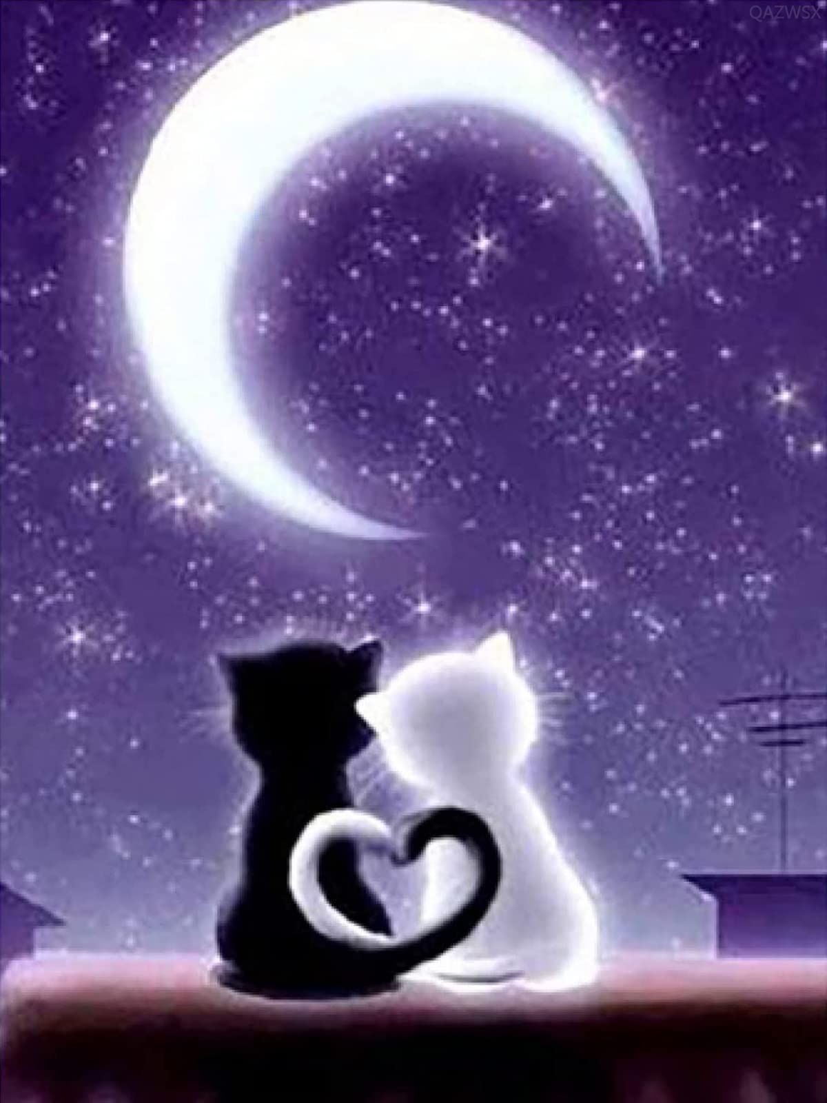 Night Moon and Pet Cat Diamond Art Kit 30x40 cm