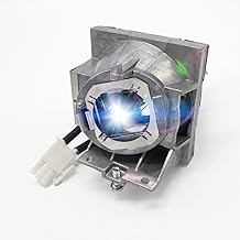 High-Quality RLC-108 Projector Lamp with Housing