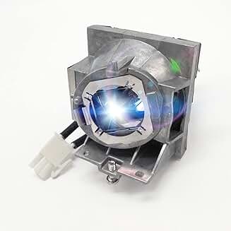 High-Quality RLC-108 Projector Lamp with Housing