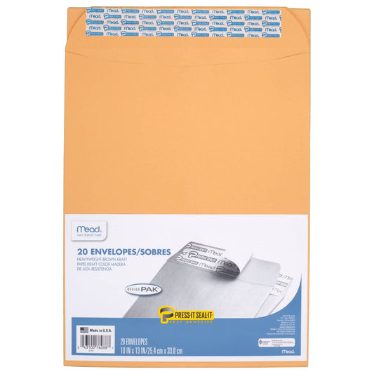 10 x 13 Inch Seal-It Envelopes, Pack of 20