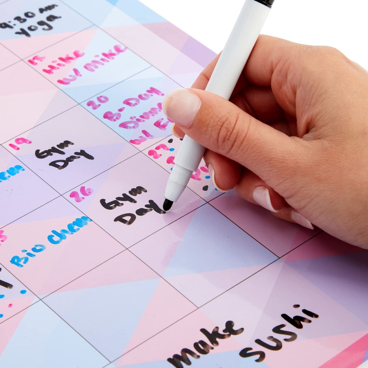 6-Pack Reusable Monthly Peel-and-Stick Calendar in Assorted Colors