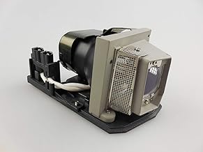 NP10LP Projector Lamp with Housing Replacement