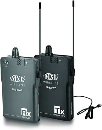Professional Portable Wireless Audio System