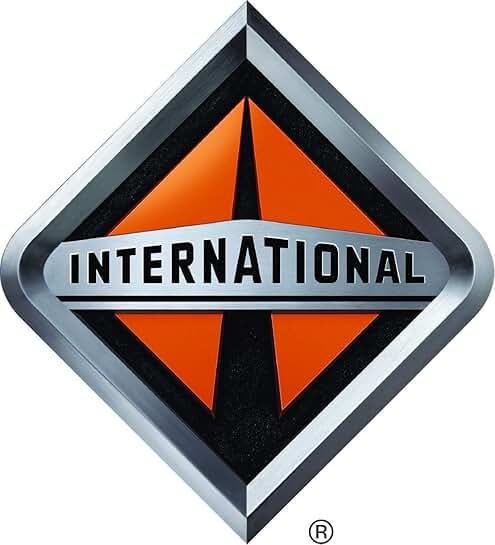 International Dome Lamp