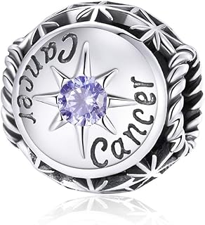 Sterling Silver Zodiac Constellation Charm for Bracelets