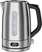 Electric kettle with temperature control and stainless steel filter