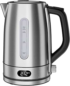 Electric kettle with temperature control and stainless steel filter