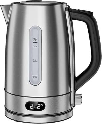 Electric kettle with temperature control and stainless steel filter
