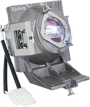High-Quality RLC-117 Projector Lamp with Housing