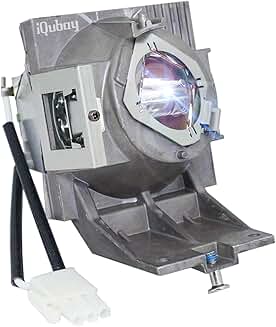 High-Quality RLC-117 Projector Lamp with Housing